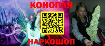 стафф Бердск