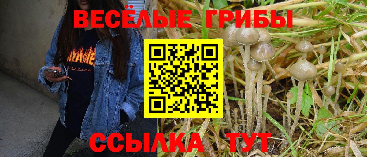 Псилоцибиновые грибы MAGIC MUSHROOMS  Вход с VPN  Псилоцибиновые грибы GOLDEN TEACHER  Алексеевка 
